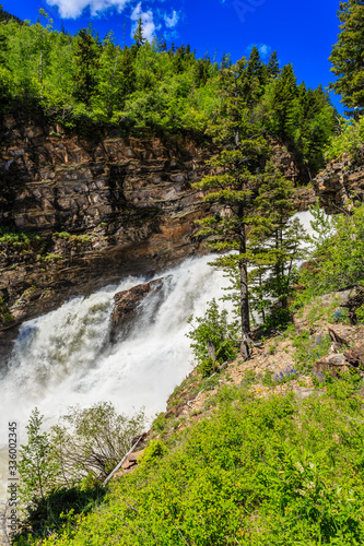 Roaring Waterfalls