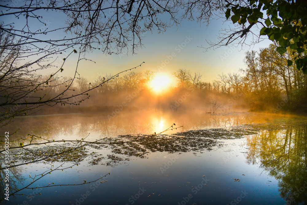 Rheinauen nahe Rhinau im Elsass am frühen Morgen