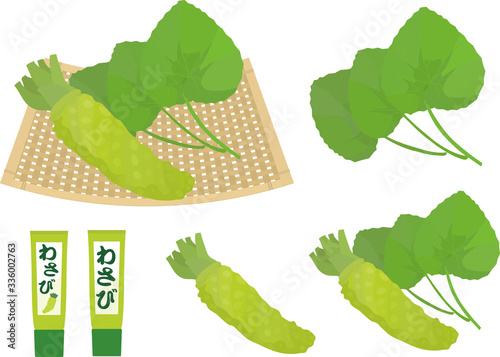 Vector illustration of wasabi and leaves on basket with wasabi paste.