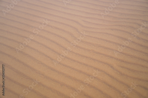 rows of sand underwater for background and texture 