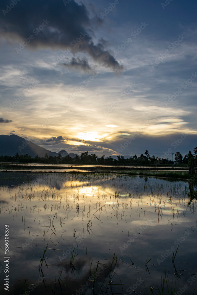 sunset over rice paddies nha trang, vietnam, asia