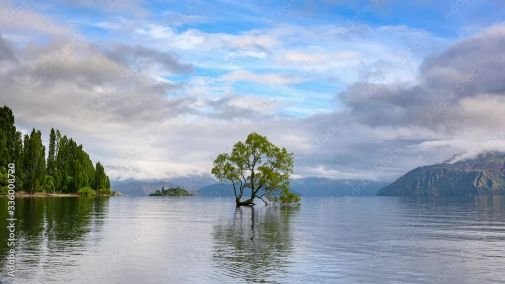 Panoramic View of Wanaka Tree in the Water On the mornings of summer , It reflected in the water and clouds moved quickly from timelapse photography on the banks of Lake Wanaka, New Zealand.