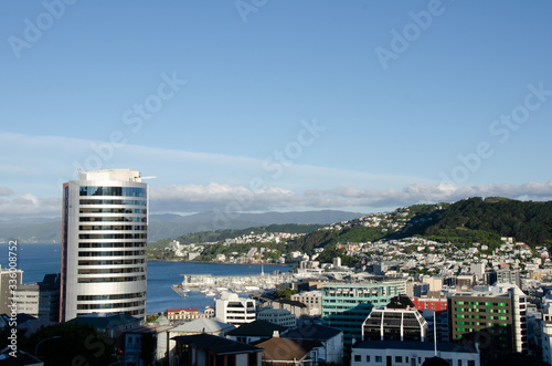 View of wellington city buildings from botanic gardens