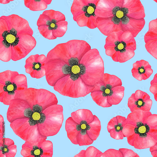 Watercolor red Poppy seamless pattern. Hand drawn botanical Papaver flower illustration isolated on pastel blue background. Bright field plant texture for decoration, design, textile, printing.