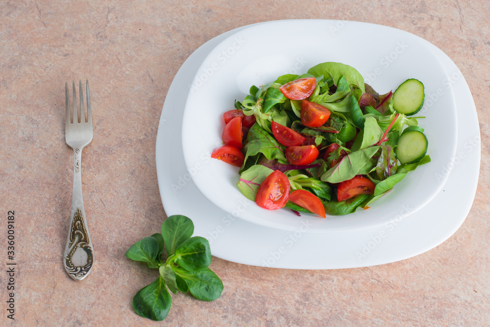 Vegetable salad with green vegetables and cherry tomatoes in the plate. Vegetable salad with green vegetables and cherry tomatoes in the plate.