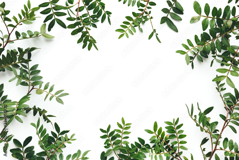 Naklejka Spring Background With Green Leaves on White Background