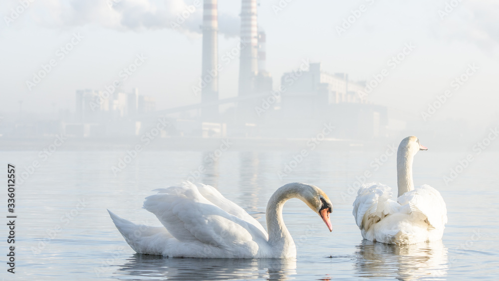 natura i przemysł na Śląsku, Polska, elektrownia Rybnik