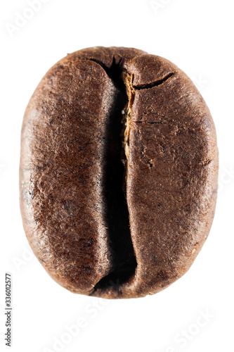 Brown roasted coffee bean isolated on white background. Super macro in huge definition. © Andrii Zastrozhnov