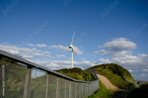 Brooklyn wind turbine on windy day, wellington