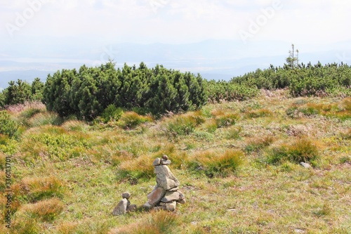 Fototapeta Naklejka Na Ścianę i Meble -  Beskids mountains in Poland. Landscape of peak Diablak