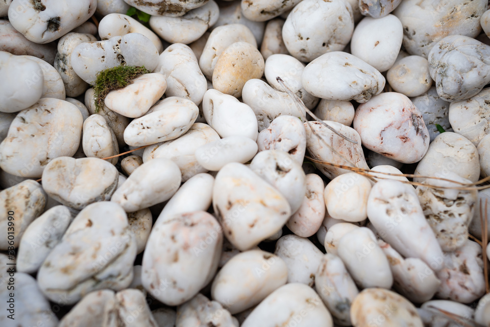 Sea white pebbles scattered in the garden. Dry stones are the background Sea white pebbles scattered in the garden. Dry stones are the background
