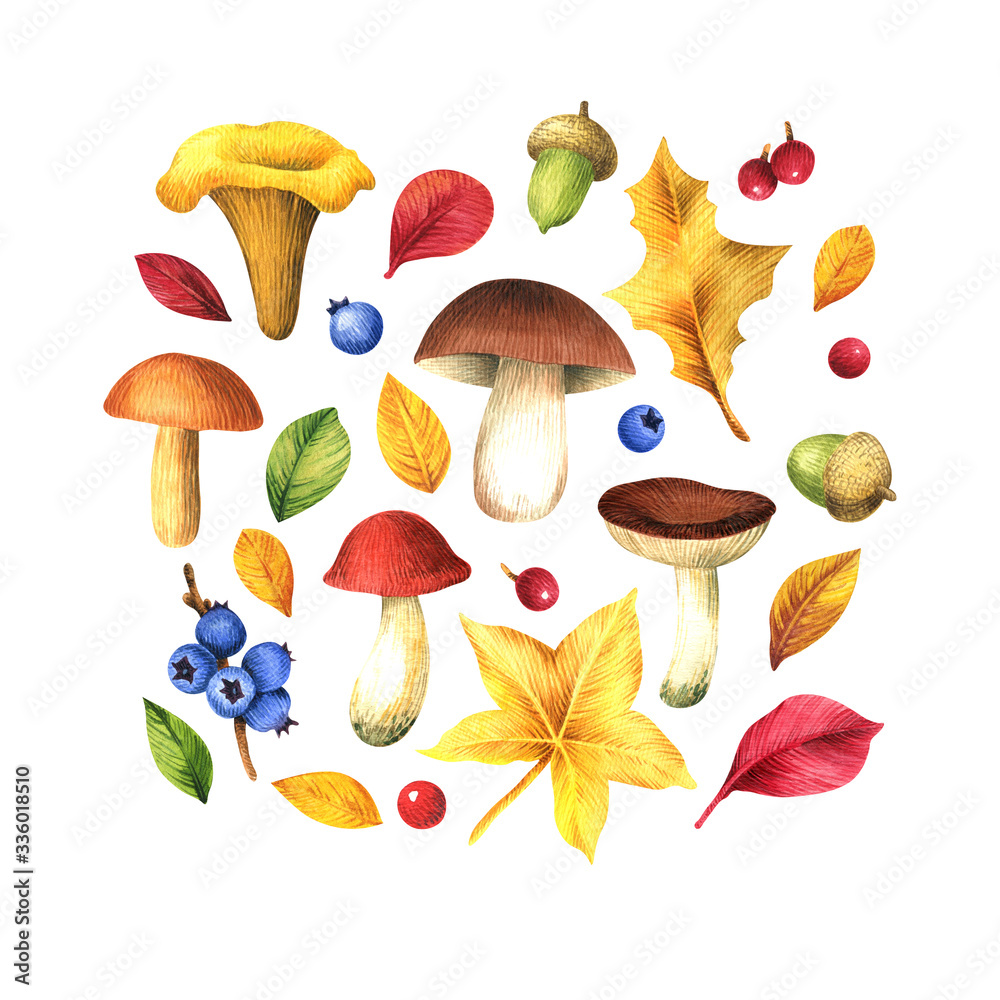 Autumn set. Elements for design isolated on white background. Watercolor illustration of hand drawing. Autumn set. Elements for design isolated on white background. Watercolor illustration of hand drawing.