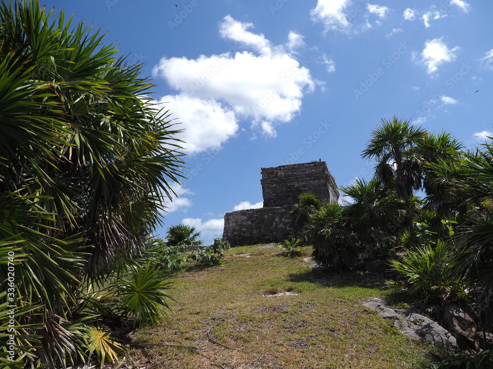 Exotic plants and temple of god of winds at TULUM city at Mexico on grassy field Exotic plants and temple of god of winds at TULUM city at Mexico on grassy field