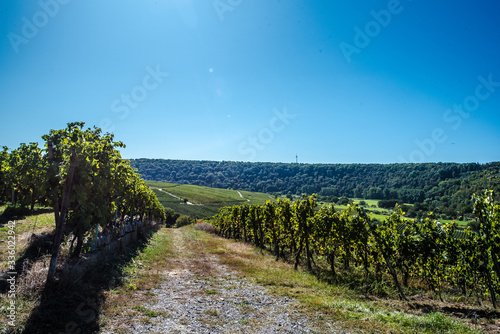 Wine valley © Thorsten