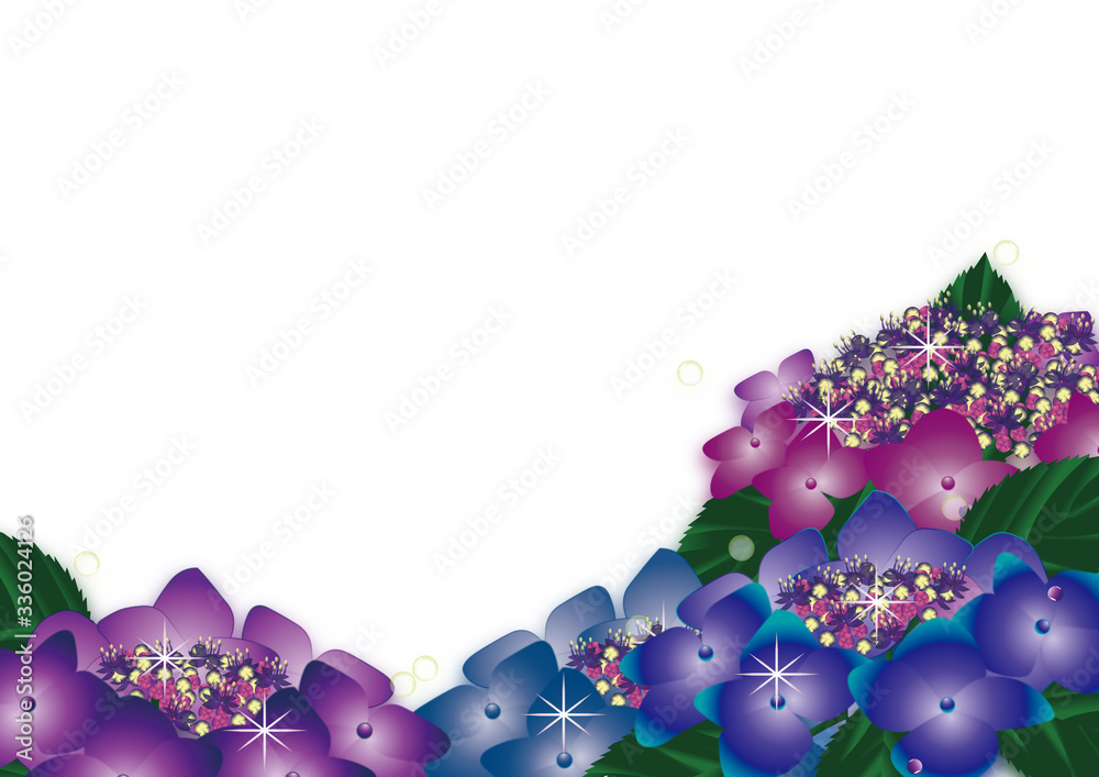 紫陽花の紫や赤紫に青の花畑のイラスト横スタイル背景素材 Stock Illustration Adobe Stock