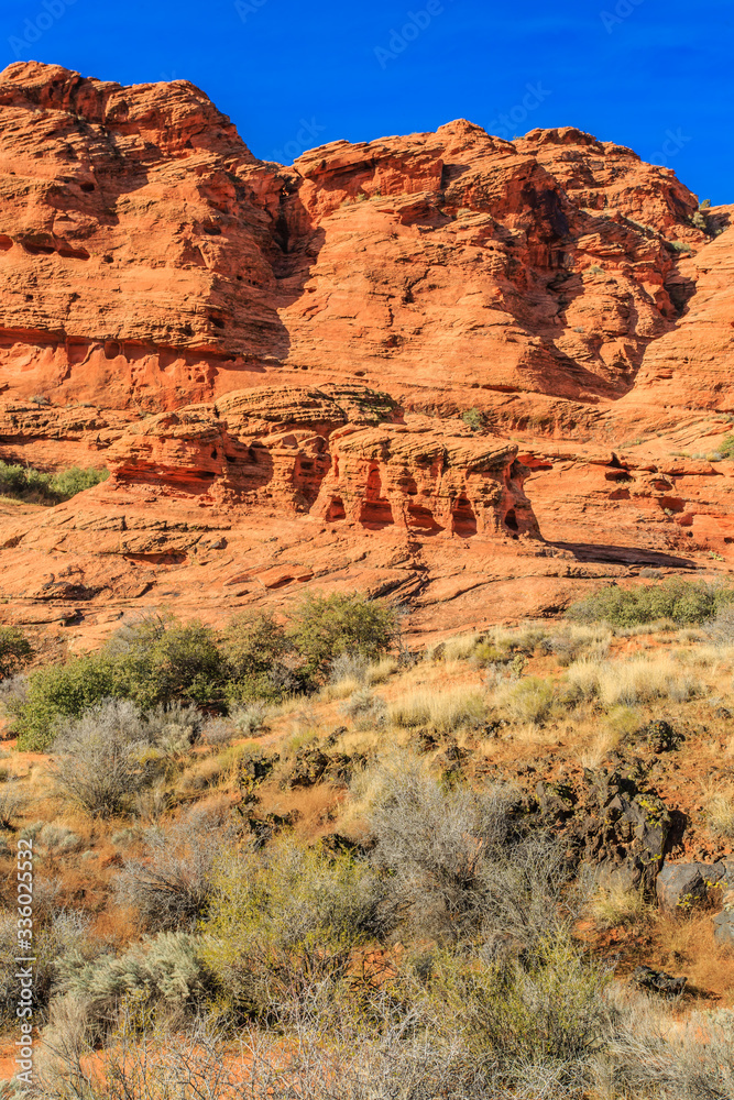 Fototapeta premium Snow Canyon State Park