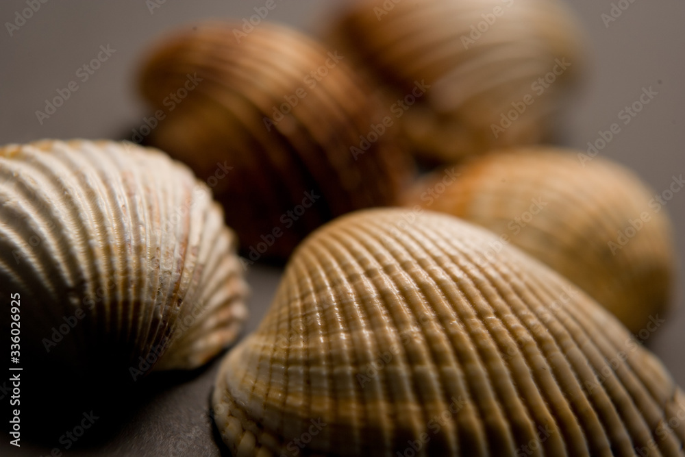 natura