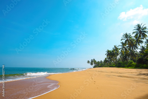 Beautiful beach on tropical island with coconut palm trees and clean sand at sunny summer day © nevodka.com
