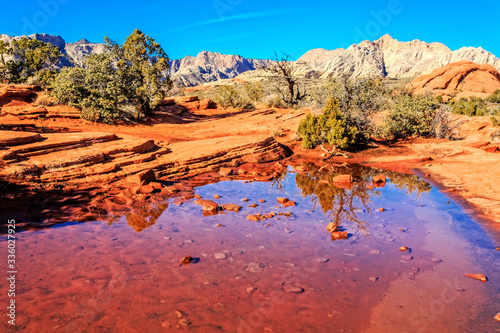 Water Pools at Snow Canyon State Park