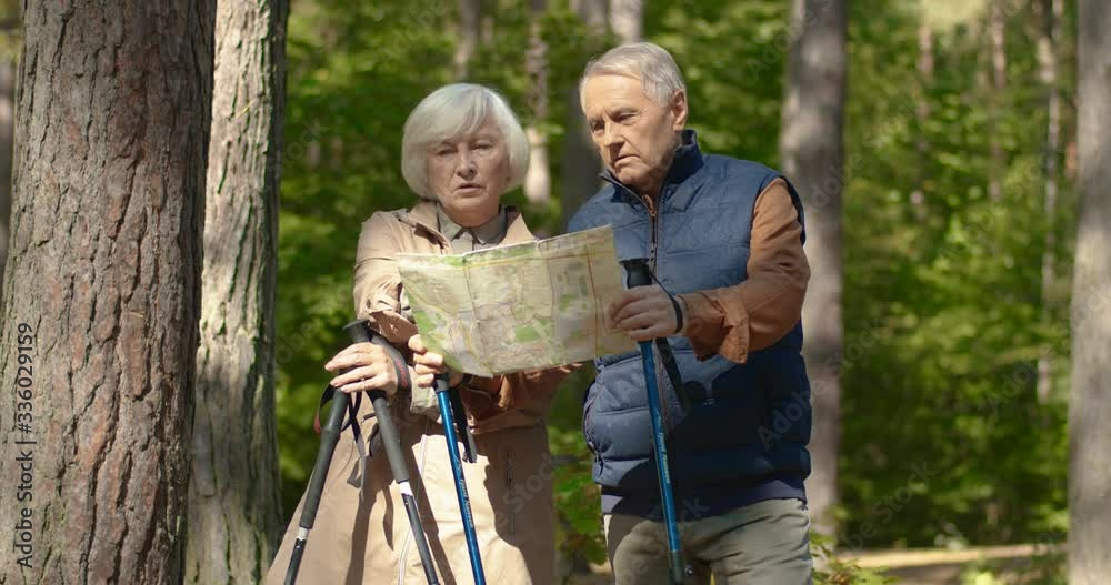 Caucasian old married couple standing in forest with sticks and examining route plan. Senior man and woman lost in wood and searching way back. Tourists looking at map while hiking with trekking poles Caucasian old married couple standing in forest with sticks and examining route plan. Senior man and woman lost in wood and searching way back. Tourists looking at map while hiking with trekking poles