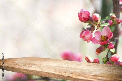 pink blooming flowers with empty tabletop  on a blurry pink background. Empty place for sale.