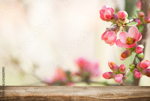 pink blooming flowers with empty tabletop, on a blurry pink background. Empty place for sale.