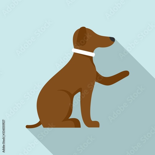 Domestic dog training icon. Flat illustration of domestic dog training vector icon for web design