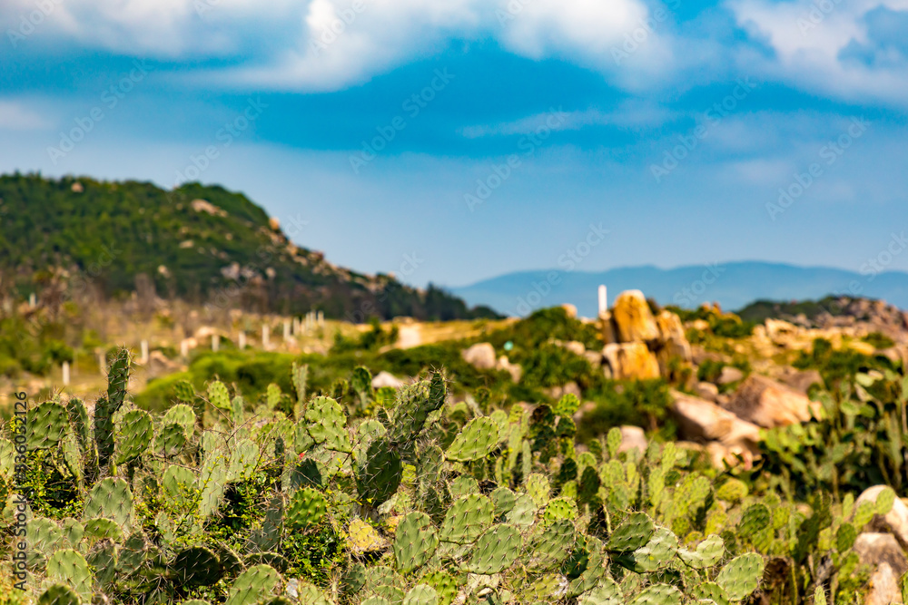 View of the mountains and walley from the mountain road in Vietnam