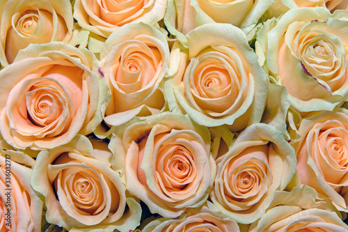 Background of bouquets of flowers. Roses. Design. Close up.