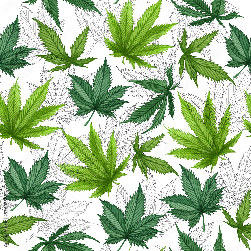 Watercolor cannabis seamless pattern. Hemp hand drawn pattern. Cannabis oil background on white