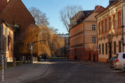 Paved street near Wroclaw Cathedral of St. John the Baptist with with beautiful trees with thin hanging branches in the winter morning sun rays