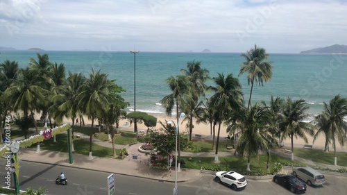 palm trees on the beach