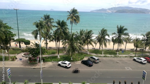 tropical beach with palm trees