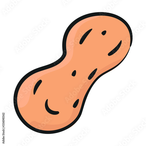 Legume crop with edible seed, doodle design of peanut icon