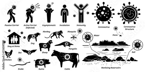 Virus infection disease on living and nonliving organisms. Vector illustrations of infected human and animals by flu, influenza, and virus. Human and animal are host and carrier of the coronavirus.