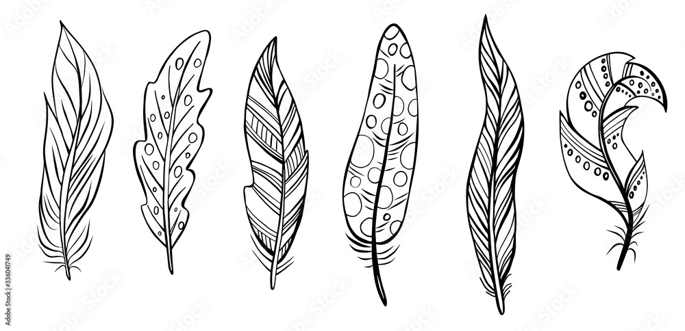 Set of bird feathers isolated on white. Vector. Creative concept for ...