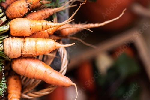 Organic carrots on a wicker tray, top view on a wooden dark background. Rustic natural style