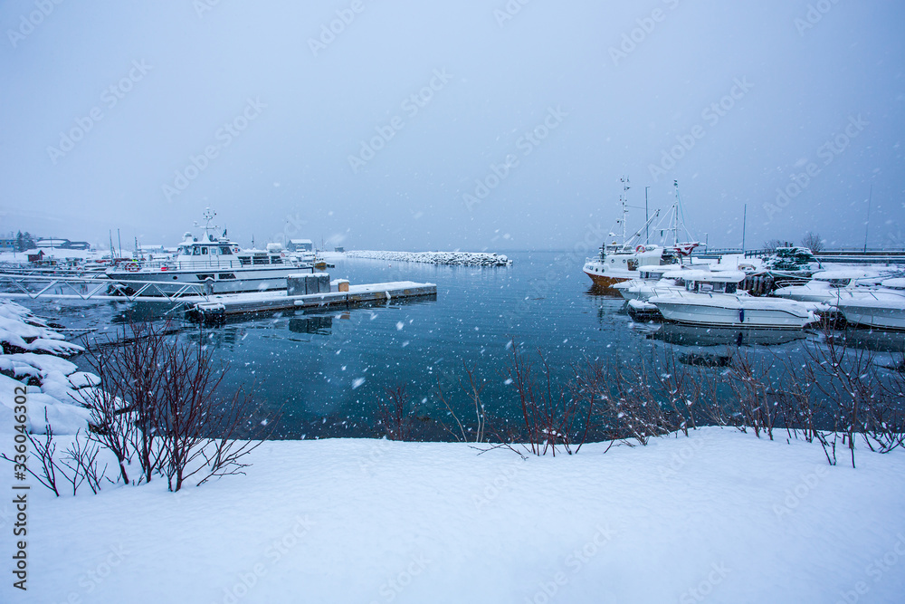 Fishing boats are moored at Hansnes pier during heavy snow. Hansnes is a village located along the Langsundet strait, about 58 kilometers northeast of the city of Tromsø.