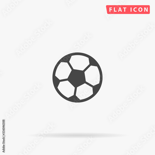 Soccer Ball flat vector icon