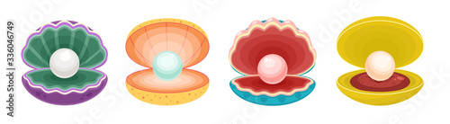 Pearl in seashell isolated cartoon set icon. Vector illustration jewelry ball on white background. Vector cartoon set icon pearl in seashell .