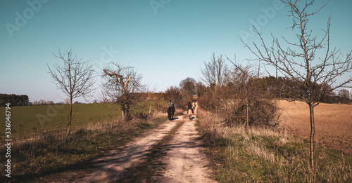 Reiter auf dem Feld © mazolafoto