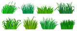 Green grass vector cartoon set icon. Isolated cartoon set icon lawn. Vector illustration green grass on white background.