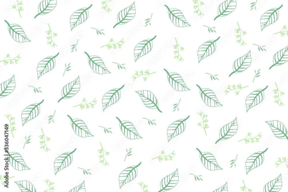 zielone liście na białym tle - obrazy, fototapety, plakaty 