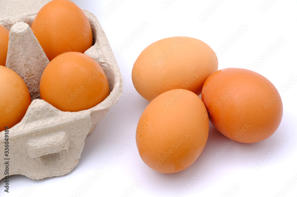chicken egg isolated on white background
chicken egg isolated on white background