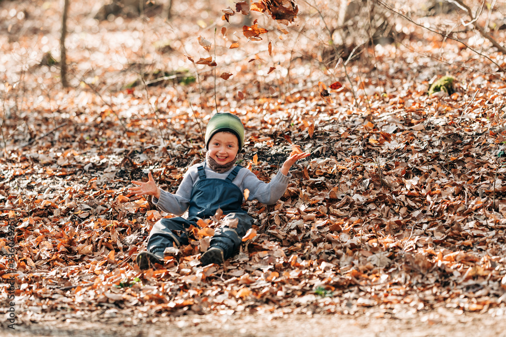 Junge spielt im Laub im Wald 4 Junge spielt im Laub im Wald 4