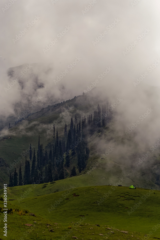 Green mountains covered with clouds and trees in Pakistan