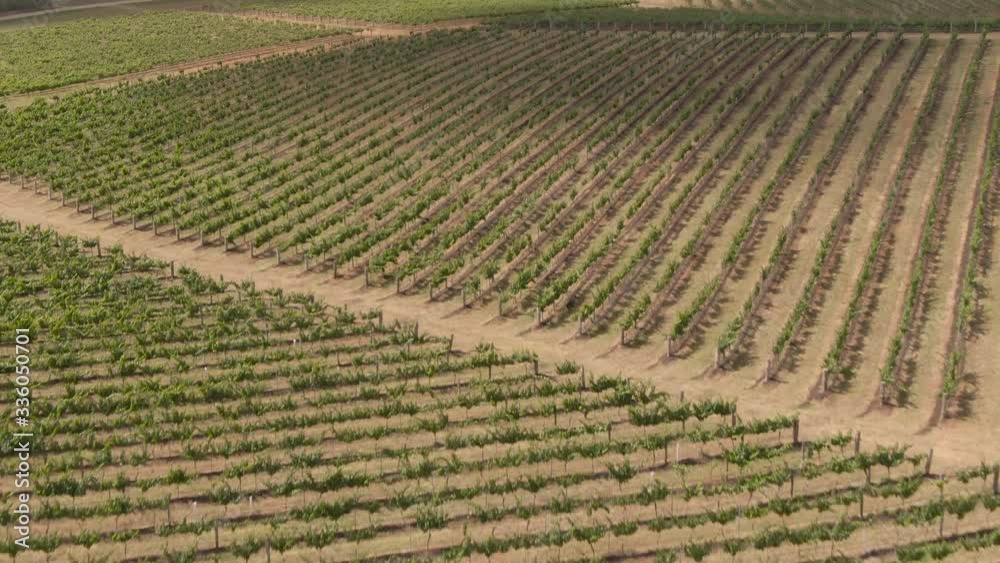 Hunter Valley Wine Region Australia. DRONE aerial view. Vineyards growing grapes for red wine. Green rolling hills. Dramatic landscape. Viticulture, scenic, drinking, growing concepts. Hunter Valley Wine Region Australia. DRONE aerial view. Vineyards growing grapes for red wine. Green rolling hills. Dramatic landscape. Viticulture, scenic, drinking, growing concepts.