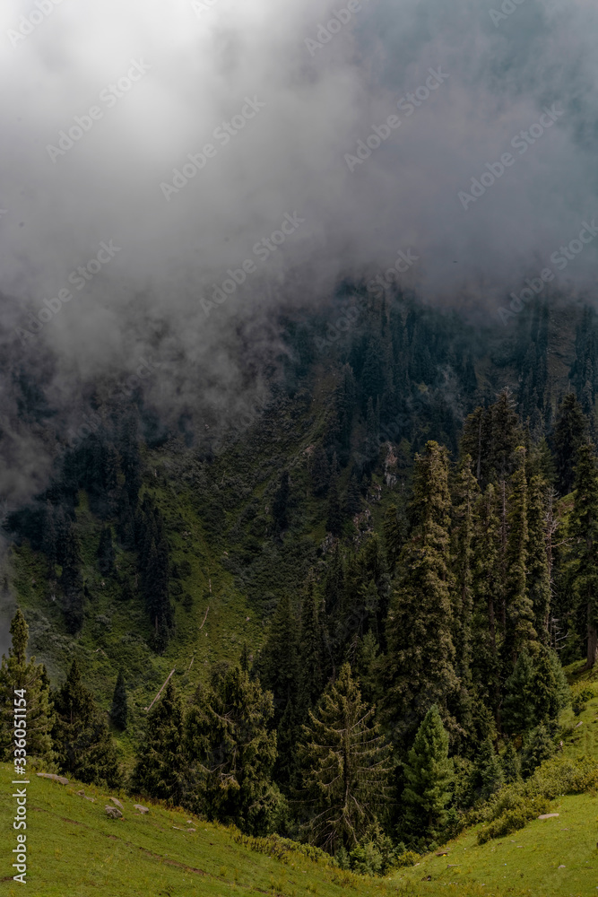 Fog in the mountains