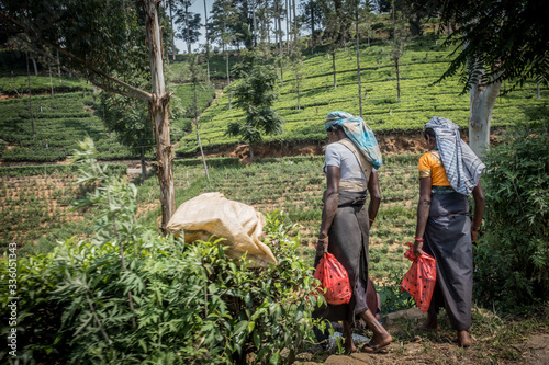 Lo Sri Lanka e le mille sfumature dei suoi colori