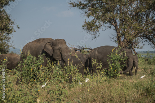 Lo Sri Lanka e le mille sfumature dei suoi colori